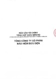 Báo cáo tài chính tổng hợp giữa niên độ 6 tháng đầu của năm tài chính kết thúc ngày 31/12/2018 - Tổng Công ty cổ phần Bảo hiểm Bưu điện