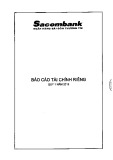 Báo cáo tài chính riêng quý 1 năm 2019 - Công ty cổ phần Chứng khoán SSI