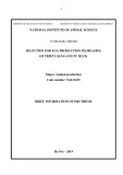 Brief information of PHD thesis: Selection for egg production increasing of Triet Giang and TC duck