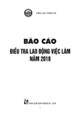 Báo cáo điều tra lao động việc làm năm 2018