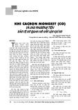 Khí cacbon monoxit (Co) và các phương tiện bảo vệ cơ quan hô hấp lọc khí Co