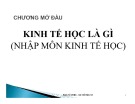 Bài giảng Nhập môn kinh tế học: Chương mở đầu - ThS. Hồ Hữu Trí