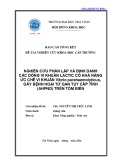 Đề tài nghiên cứu khoa học cấp trường: Nghiên cứu phân lập và định danh các dòng vi khuẩn lactic có khả năng ức chế vi khuẩn Vibrio parahaemolyticus, gây bệnh hoại tử gan tụy cấp tính (Ahpnd) trên tôm biển