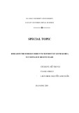 Special topic: Research the foreign direct investment of south Korea to Vietnam in recent years