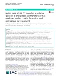 Maize male sterile 33 encodes a putative glycerol-3-phosphate acyltransferase that mediates anther cuticle formation and microspore development