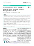 Overexpression of SrDXS1 and SrKAH enhances steviol glycosides content in transgenic Stevia plants