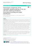 Downstream components of the calmodulin signaling pathway in the rice salt stress response revealed by transcriptome profiling and target identification