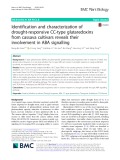 Identification and characterization of drought-responsive CC-type glutaredoxins from cassava cultivars reveals their involvement in ABA signalling