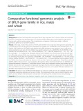 Comparative functional genomics analysis of bHLH gene family in rice, maize and wheat