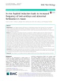 In vivo haploid induction leads to increased frequency of twin-embryo and abnormal fertilization in maize