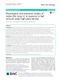 Physiological and proteome studies of maize (Zea mays L.) in response to leaf removal under high plant density