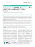 Application of the CRISPR/Cas9 system for modification of flower color in Torenia fournieri