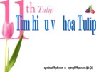 Bài giảng Tìm hiểu về hoa Tulip