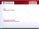 Bài giảng Quản lý học - Bài 4: Chức năng tổ chức