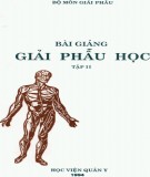 Tập 2 - Đại cương về giải phẫu học: Phần 2