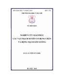 Luận án tiến sĩ Y học: Nghiên cứu giải phẫu các vạt mạch xuyên động mạch cơ bụng chân và động mạch gối xuống