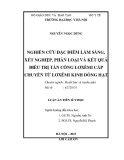 Luận án tiến sĩ Y học: Nghiên cứu đặc điểm lâm sàng, xét nghiệm, phân loại và kết quả điều trị tấn công lơxêmi cấp chuyển từ lơxêmi kinh dòng hạt