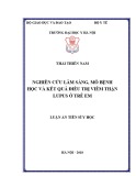 Luận án tiến sĩ Y học: Nghiên cứu lâm sàng, mô bệnh học và kết quả điều trị viêm thận lupus ở trẻ em