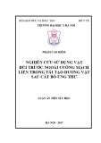 Luận án tiến sĩ Y học: Nghiên cứu sử dụng vạt đùi trước ngoài cuống mạch liền trong tái tạo dương vật sau cắt bỏ ung thư