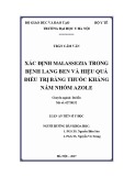 Luận án tiến sĩ Y học: Xác định Malassezia trong bệnh lang ben và hiệu quả điều trị bằng thuốc kháng nấm nhóm azole