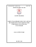 Luận án tiến sĩ Y học: Nghiên cứu đặc điểm điện sinh lý tim và kết quả điều trị hội chứng Wolff-Parkinson-White ở trẻ em bằng năng lượng sóng có tần số radio