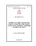 Luận án tiến sĩ Y học: Nghiên cứu điều trị nội nha ở răng vĩnh viễn chưa đóng cuống bằng Mineral Trioxide Aggregate (MTA)