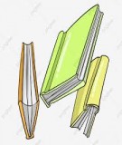 SKKN: Một số kinh nghiệm về bồi dưỡng học sinh năng khiếu Tiếng Anh cho học sinh Tiểu học