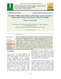 Evaluation of different insecticides and biorationals against scale insect, hemilecanium imbricans (Green) under laboratory condition