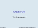 Lecture Issues in economics today - Chapter 19