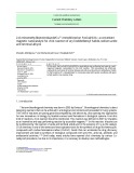 2-(Aminomethyl)benzimidazole/Cu2+ immobilized on Fe3O4@SiO2: a convenient magnetic nanocatalyst for click reaction of aryl iodide/benzyl halide, sodium azide and terminal alkyne