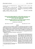 Đánh giá khả năng kiểm soát tuyến trùng Meloidogyne spp. gây sung rễ hồ tiêu của cấy mè (Sesame indicum) và cúc vạn thọ (Tagetes spp)