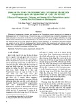 Đánh giá tác động của Propamocarb, Chitosan và dầu mè đến Phytophthora capsici gây bệnh vàng lá - chết cây hồ tiêu