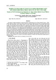 Nghiên cứu ứng dụng kỹ thuật PCR chẩn đoán nhanh vi-rút gây bệnh khảm vàng (PYMoV) trên cây hồ tiêu ở Việt Nam