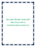 Bộ 16 đề thi học sinh giỏi môn Toán lớp 12 năm 2019-2020 có đáp án