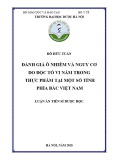 Luận án tiến sĩ Dược học: Đánh giá ô nhiễm và nguy cơ do độc tố vi nấm trong thực phẩm tại một số tỉnh phía Bắc Việt Nam