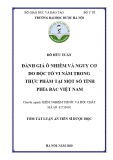 Tóm tắt Luận án tiến sĩ Dược học: Đánh giá ô nhiễm và nguy cơ do độc tố vi nấm trong thực phẩm tại một số tỉnh phía Bắc Việt Nam