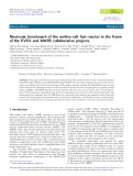 Neutronic benchmark of the molten salt fast reactor in the frame of the EVOL and MARS collaborative projects