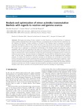 Analysis and optimization of minor actinides transmutation blankets with regards to neutron and gamma sources