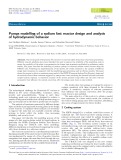 Pumps modelling of a sodium fast reactor design and analysis of hydrodynamic behavior