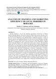 Analysis of channels and marketing efficiency of local fisheries in Merauke
