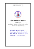 Sáng kiến kinh nghiệm: Một số kinh nghiệm về công tác bồi dưỡng chuyên môn cho giáo viên
