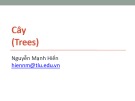 Bài giảng Cấu trúc dữ liệu và giải thuật: Cây - Phan Mạnh Hiển (2020)