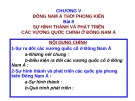 Bài giảng Lịch sử lớp 10 - Bài 8: Sự hình thành và phát triển các vương quốc chính ở Đông Nam Á