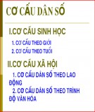 Bài giảng Địa lí lớp 10 - Bài 23: Cơ cấu dân số