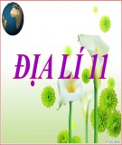 Bài giảng Địa lí lớp 11 – Bài 11: Khu vực Đông Nam Á (Tiết 2: Kinh tế)