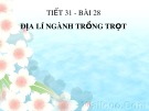 Bài giảng Địa lí lớp 10 - Bài 28: Địa lí ngành trồng trọt