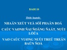 Bài giảng Địa lí lớp 10 - Bài 10: Thực hành nhận xét về sự phân bố các vành đai động đất, núi lửa và các vùng núi trẻ trên bản đồ