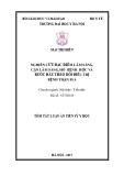 Tóm tắt luận án Tiến sĩ chuyên ngành Nội thân - Tiết niệu: Mô tả đặc điểm lâm sàng, cận lâm sàng, mô bệnh học và bước đầu theo dõi điều trị bệnh thận IgA