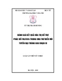 Luận án Tiến sĩ Y học: Đánh giá kết quả hóa trị bổ trợ phác đồ FOLFOX4 trong ung thư biểu mô tuyến đại trực tràng giai đoạn III