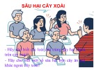 Bài giảng Xén tóc đục thân và sâu đục cành cây xoài